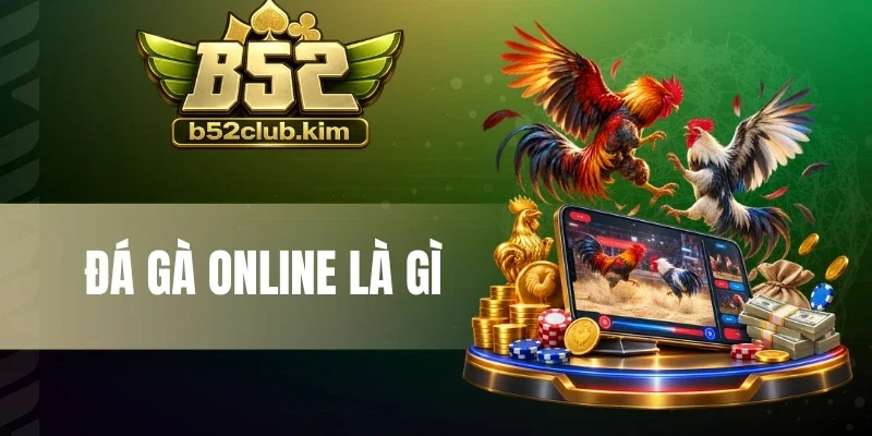 Đá Gà Online Là Gì - Theo Dõi Trận Đấu, Cược Chiến Kê So Tài