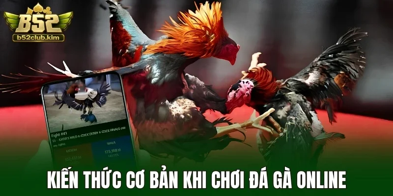 Kiến thức cơ bản khi chơi đá gà online