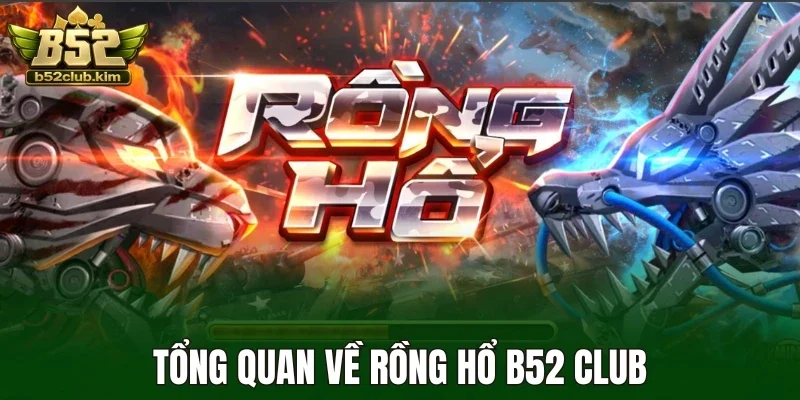 Tổng quan về rồng hổ B52 Club